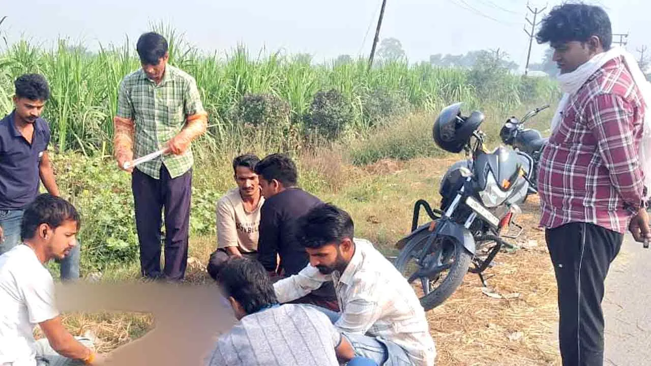 गोसेवा दल के सदस्यों ने घायल नीलगाय का कराया उपचार