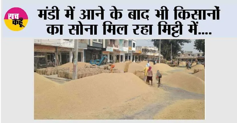 मंडी में आने के बाद भी किसानो का सोना मिल रहा मिट्टी में, मंडी में जगह न होने के चलते कच्ची जगह में धान उतार रहे किसान