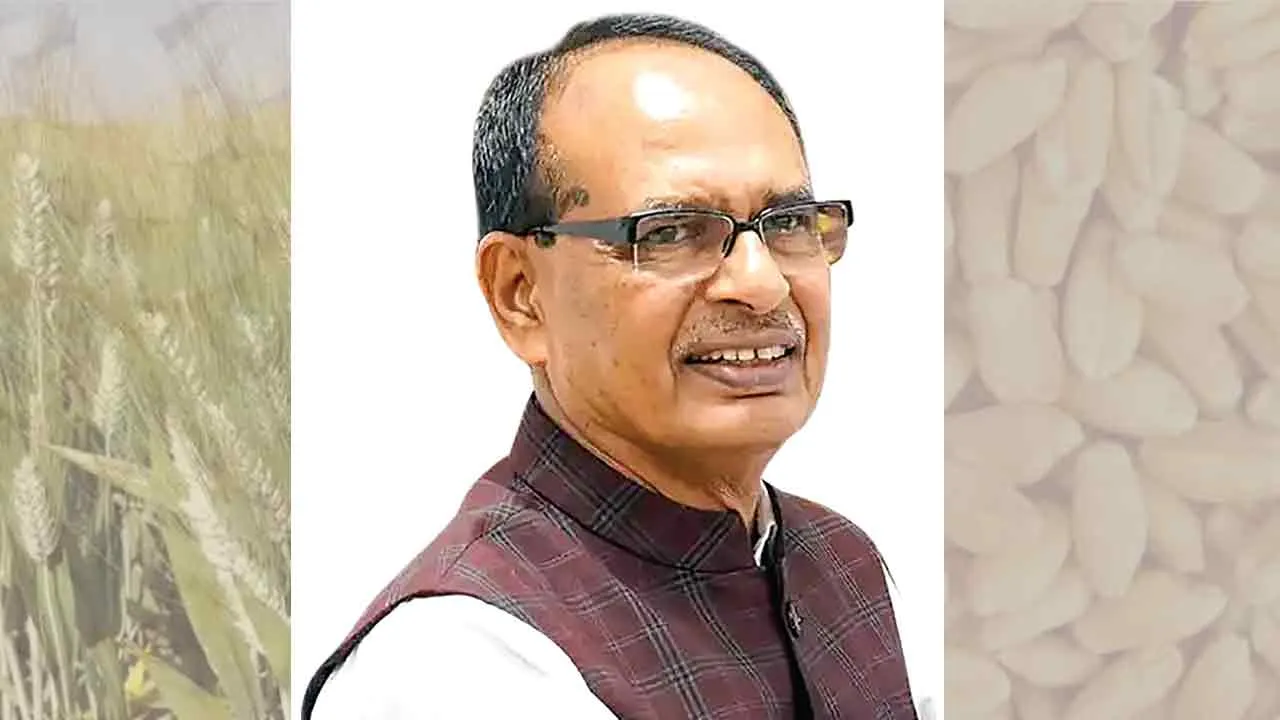 केन्द्र सरकार ने पंजाब में गेहूं के बीज की मुफ्त आपूर्ति के लिए जारी किए 74 करोड़ रू.: चौहान