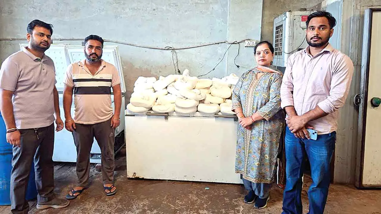 डेयरी यूनिट से 225 किलो मिलावटी पनीर जब्त