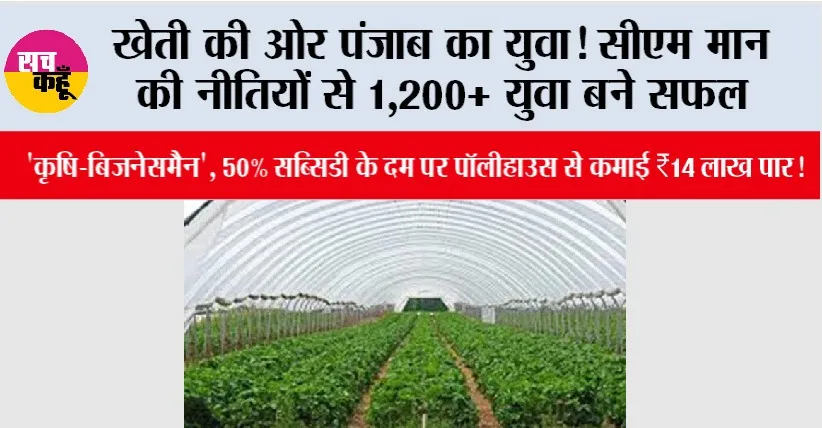 खेती की ओर पंजाब का युवा! CM मान की नीतियों से 1,200+ युवा बने सफल ‘कृषि-बिजनेसमैन’, 50% सब्सिडी के दम पर पॉलीहाउस से कमाई ₹14 लाख पार!