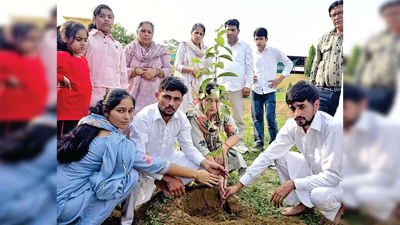 सचखंडवासी प्रेमी सोहनलाल मोंगा की अस्थियों पर परिजनों ने लगाए फलदार पौधे