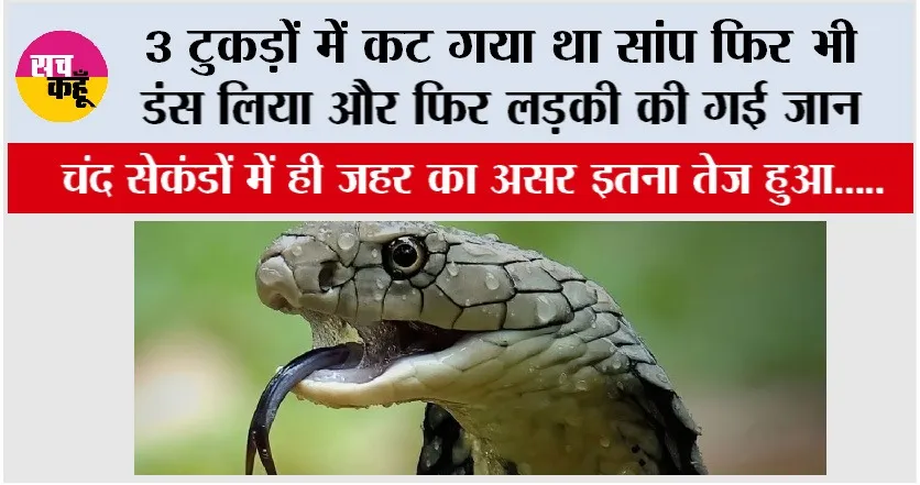 Snake News: 3 टुकड़ों में कट गया था सांप फिर भी डंस लिया और फिर लड़की की गई जान