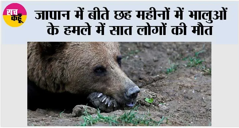 जापान में बीते छह महीनों में भालुओं के हमले में सात लोगों की मौत
