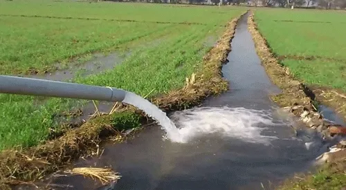 Digital Agriculture: 3 करोड़ के करीब किसान सारथी प्लेटफॉर्म से जुड़े डिजिटल कृषि परामर्श सेवाओं का उठा रहे लाभ