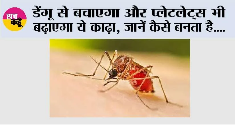 Dengue: डेंगू से बचाएगा और प्लेटलेट्स भी बढ़ाएगा ये काढ़ा, जानें कैसे बनता है….