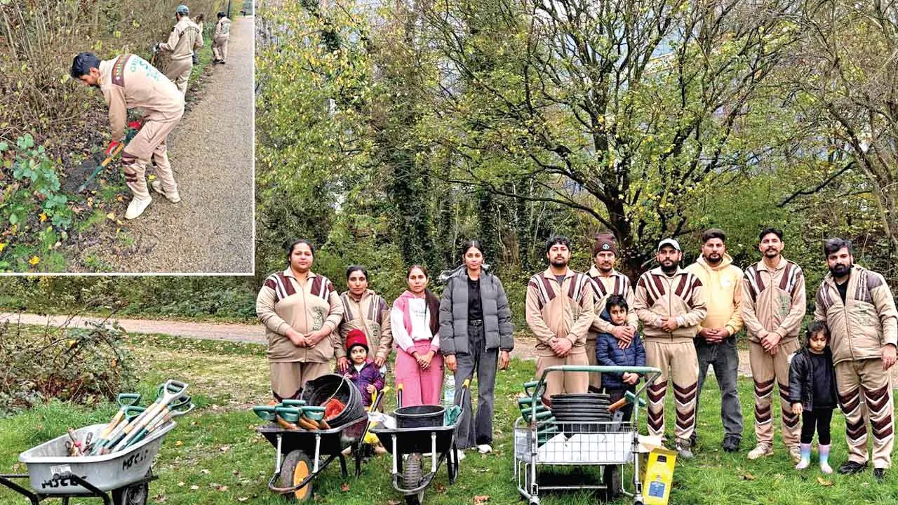 England: इंग्लैंड की साध-संगत ने 500 पौधे व 2000 पनीरी लगाकर मनाई पावन एमएसजी अवतार माह की खुशी