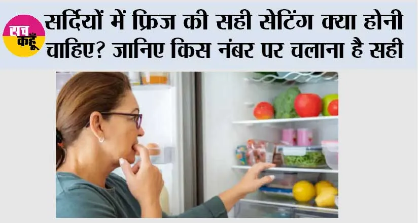 Fridge Temperature in Winter: सर्दियों में फ्रिज की सही सेटिंग क्या होनी चाहिए? जानिए किस नंबर पर चलाना है सही