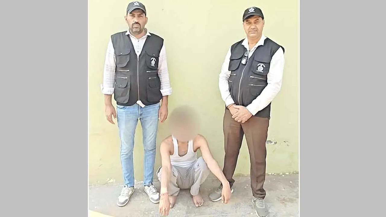गुरुग्राम पुलिस ने ऑटो में पकड़ा 20 किलो 700 ग्राम गांजा