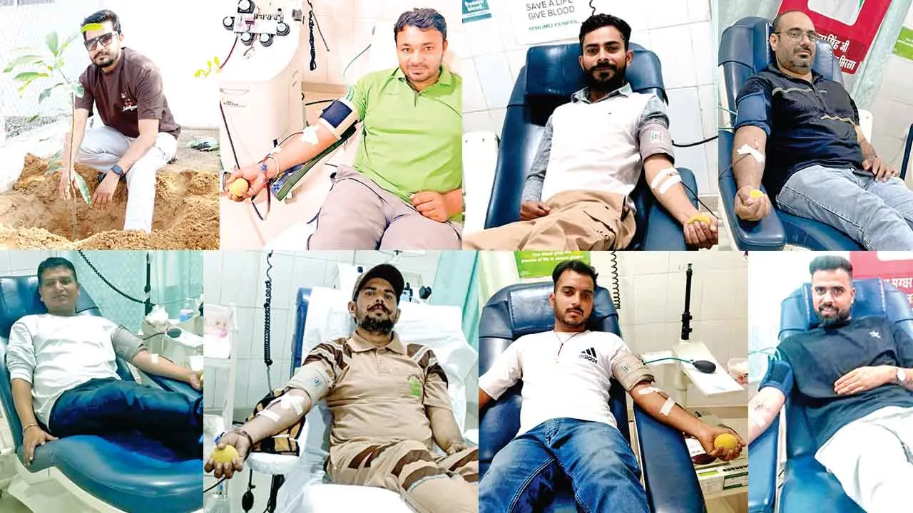 MSG Bhandara: हरियाणा के इन सेवादारों ने कुछ इस तरह से मनाया पावन अवतार दिवस