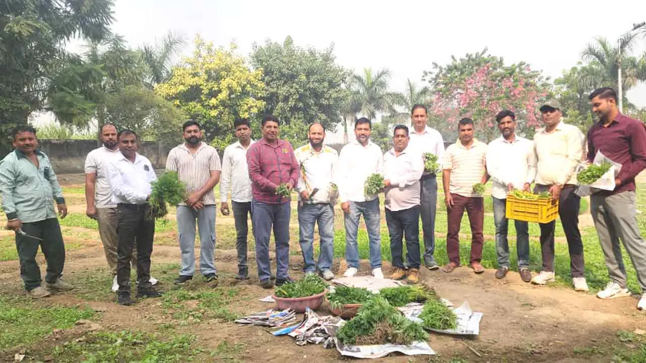 पर्यावरण संरक्षण के लिए फूलों की पौध वितरण की शुरुआत