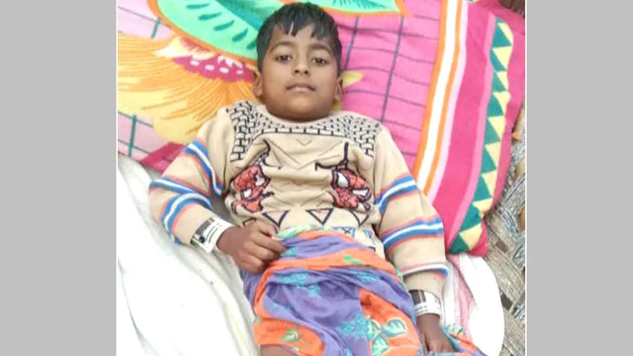 तीतरवाडा में सात वर्षीय मासूम पर छोड़ दिया पालतू कुत्ता, गम्भीर