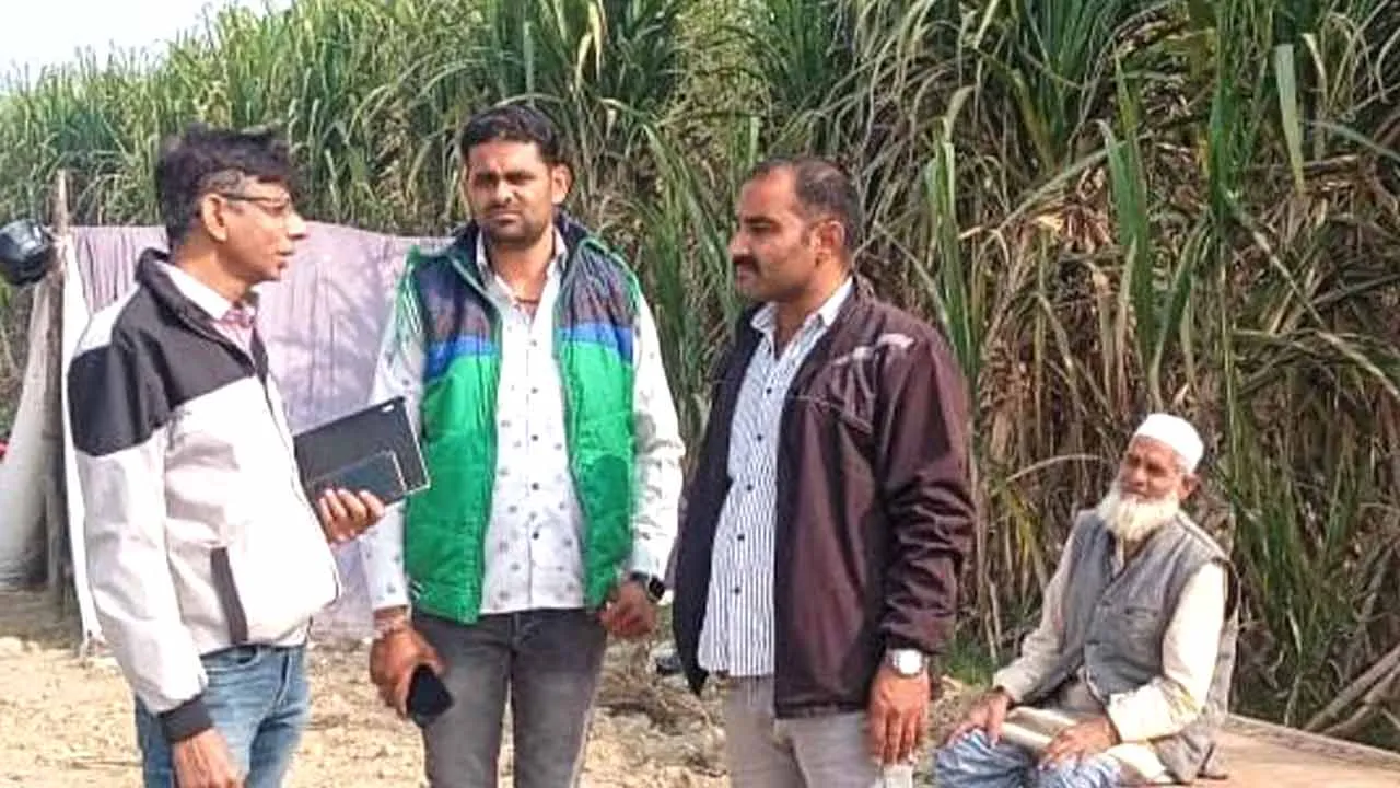 ‘खेतों में पत्ते व पराली के अवशेष जलाने पर होगी सख्त कार्यवाही’