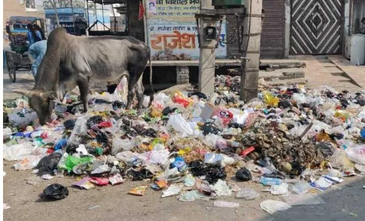 शिक्षण संस्थान, अस्पताल और न्यायलय के पास नहीं बनेगा डंपिंग ग्राउंड