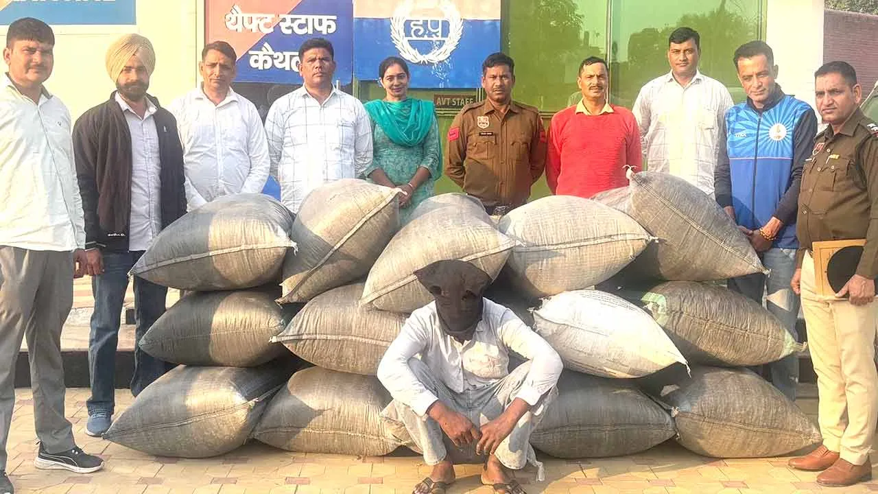 296 किलो 255 ग्राम डोडापोस्त सहित एक आरोपी काबू