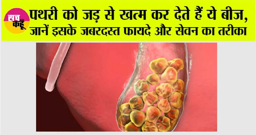 Papaya Seed Benefits For Stone: पथरी को जड़ से खत्म कर देते हैं ये बीज, जानें इसके जबरदस्त फायदे और सेवन का तरीका