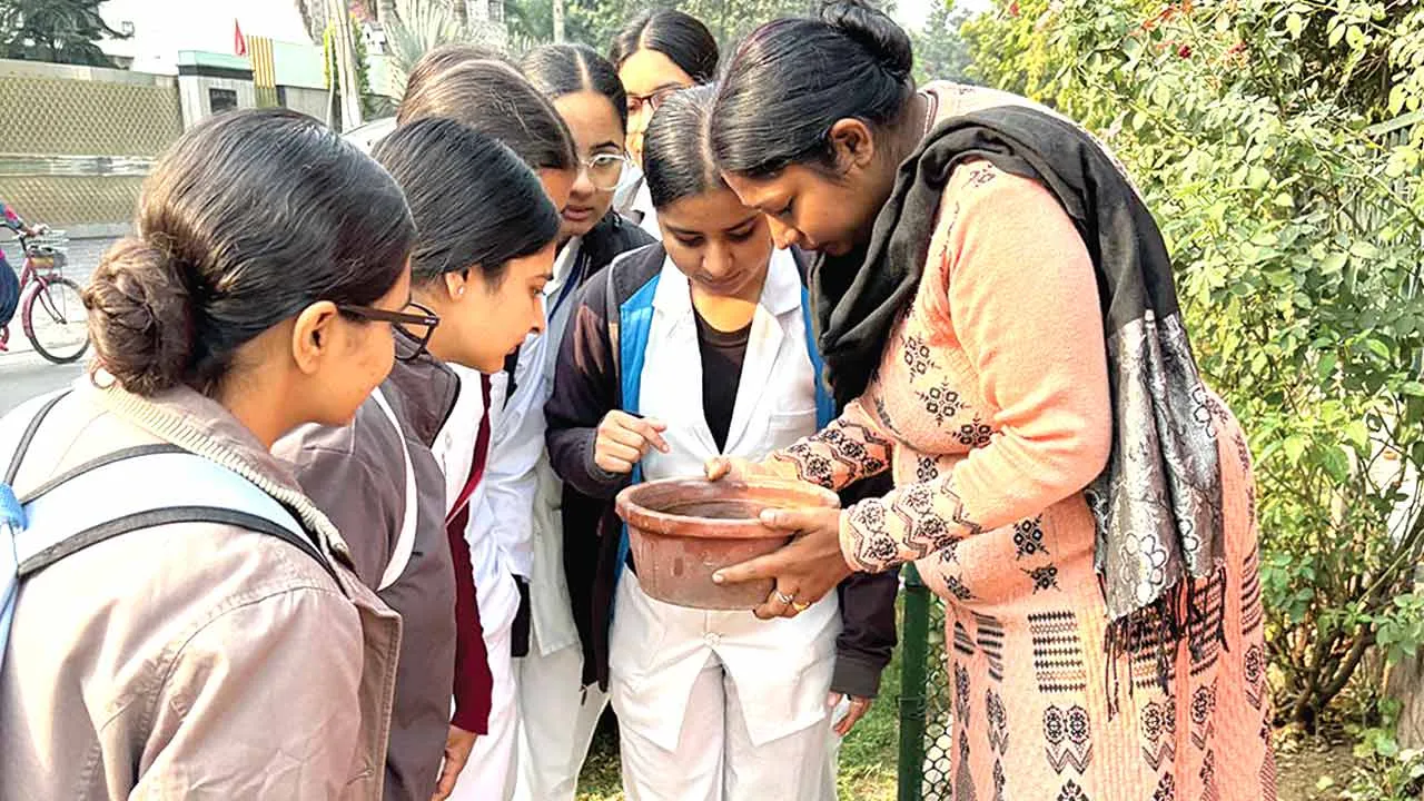 190 स्थानों पर मिला डेंगू का लारवा