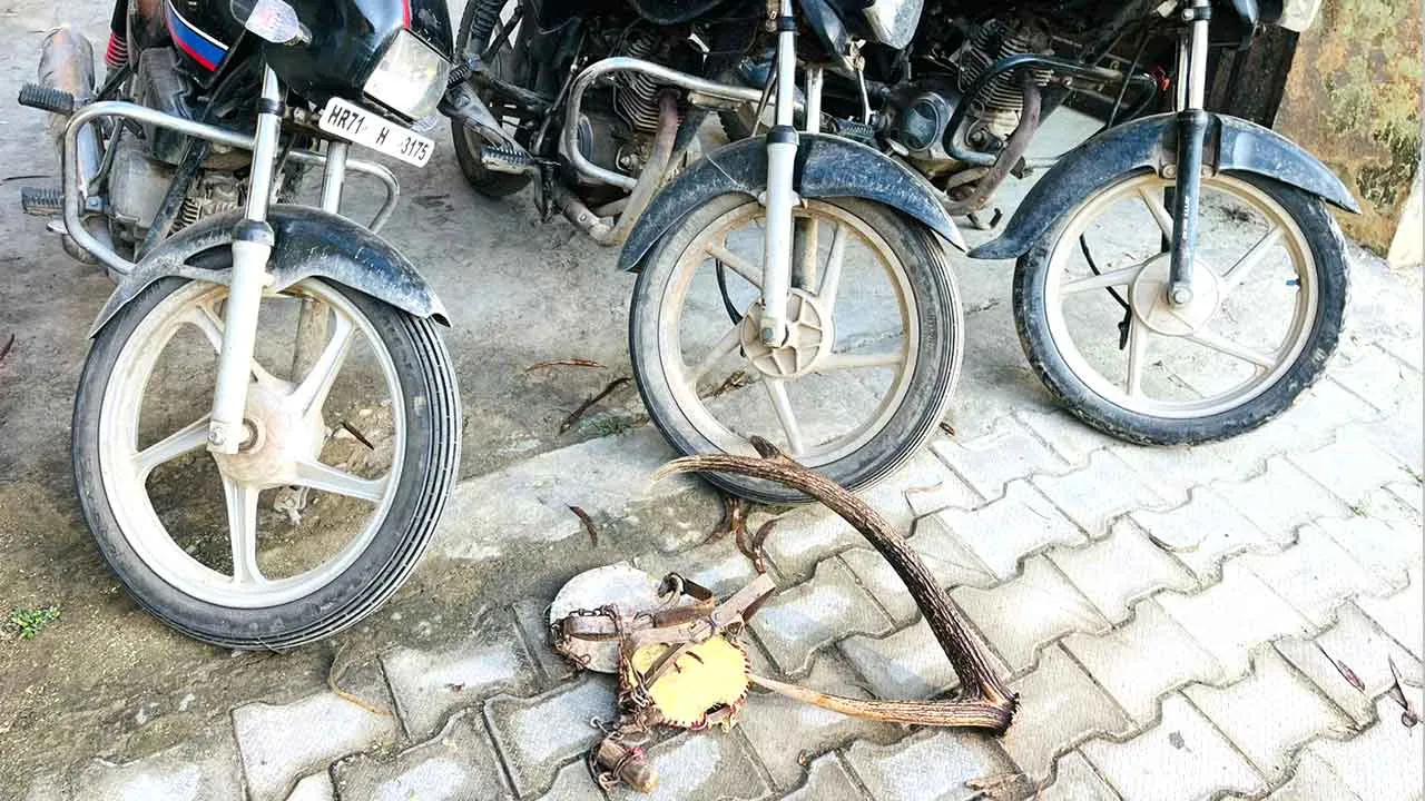 वन्य प्राणी विहार से खैर की लकड़ी, सांभर के सींग, बाइक और कड़क्की बरामद कोर्ट में लगाया केस