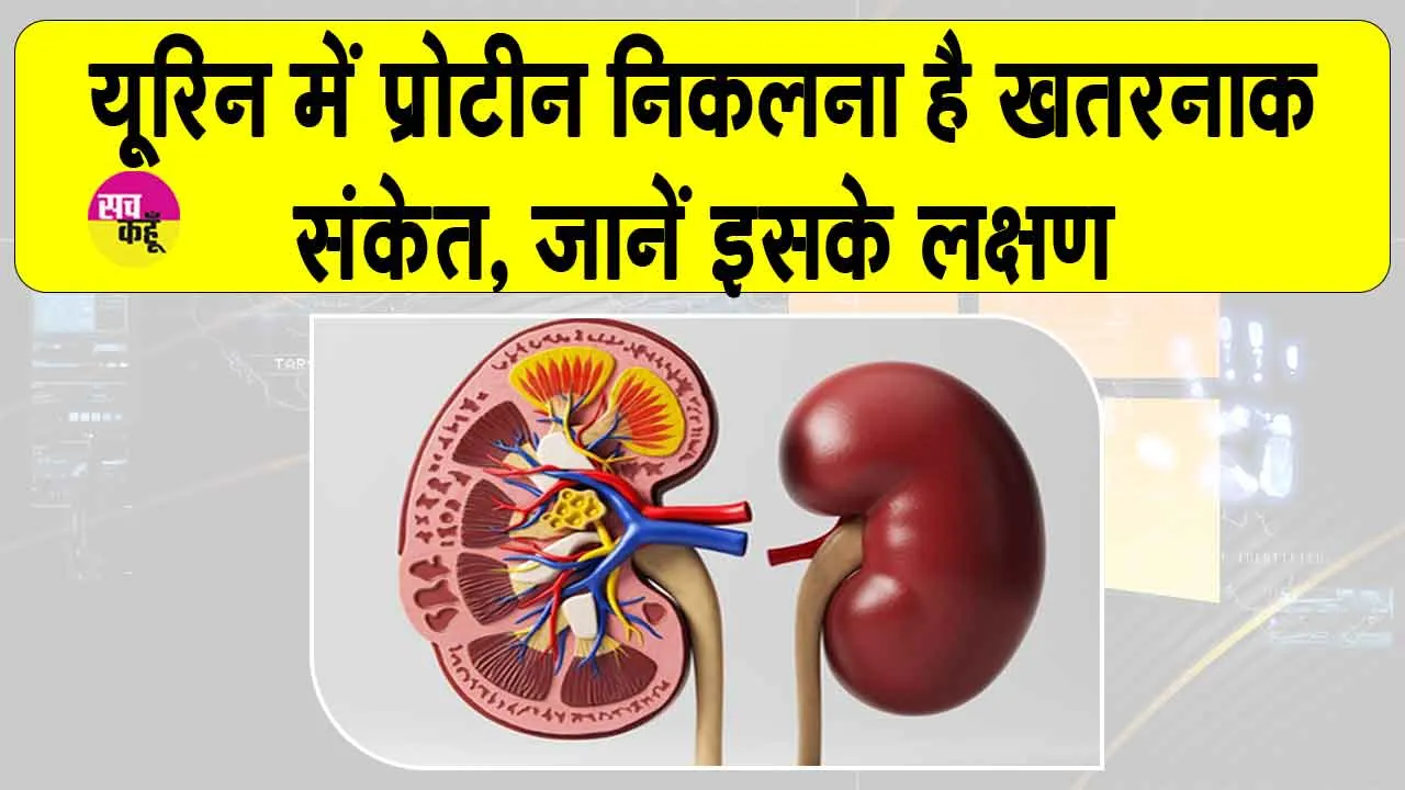 Proteinuria Symptoms: कहीं आपके यूरिन में भी प्रोटीन तो नहीं निकल रहा, जानें कितना है ये खतरनाक?
