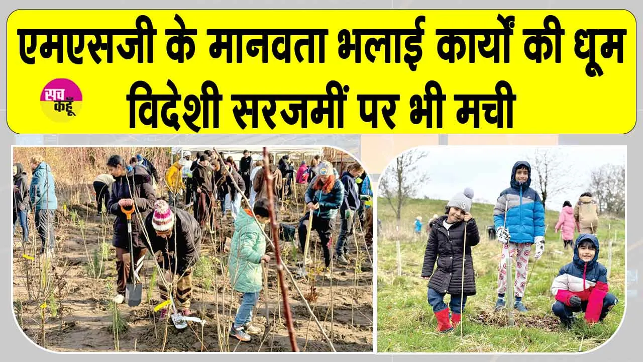 Tree Plantation: विदेशों में मच रही MSG के मानवता भलाई कार्यों की धूम
