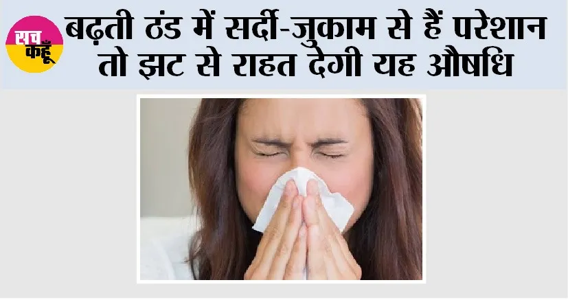 Winter Cold: बढ़ती ठंड में सर्दी-जुकाम से हैं परेशान तो झट से राहत देगी यह औषधि