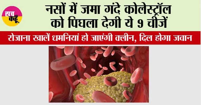 Bad Cholesterol: नसों में जमा गंदे कोलेस्ट्रॉल को पिघला देगी ये 9 चीजें, रोजाना खालें धमनियां हो जाएंगी क्लीन, दिल होगा जवान