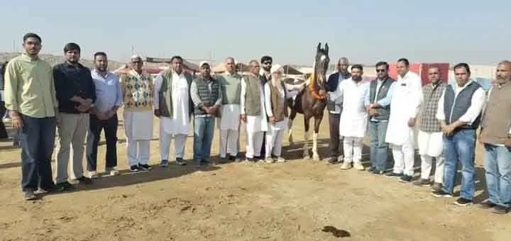 Bhatner Horse Fair Begins: भटनेर अश्व मेला शुरू, आकर्षण का केन्द्र रहेंगे मारवाड़ी-नुकरा नस्ल के अश्व