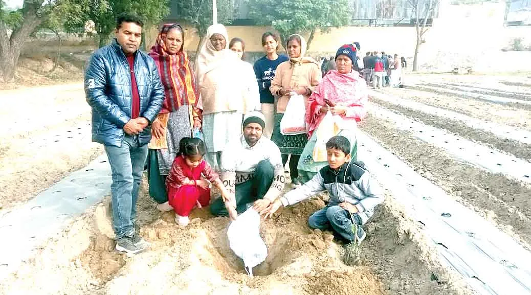 Dabwali: सचखंडवासी डबवाली के अश्वनी इन्सां की अस्थियों पर परिजनों ने लगाया पौधा