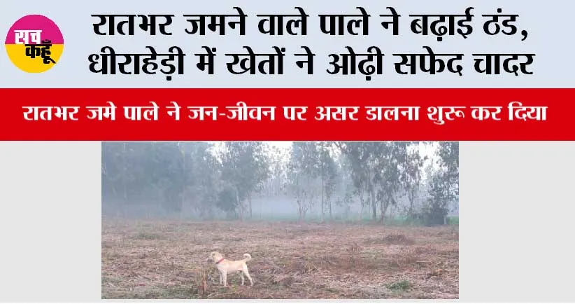 रातभर जमने वाले पाले ने बढ़ाई ठंड, धीराहेड़ी में खेतों ने ओढ़ी सफेद चादर