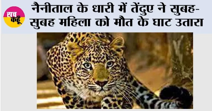 Leopard Attack: नैनीताल के धारी में तेंदुए ने महिला को मौत के घाट उतारा