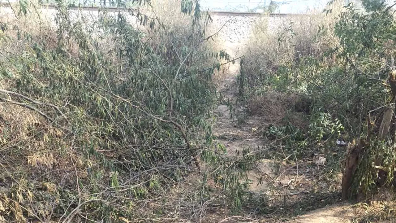 रेलवे ट्रैक के पास झाड़ियों में मिला युवक का शव, शिनाख्त नहीं