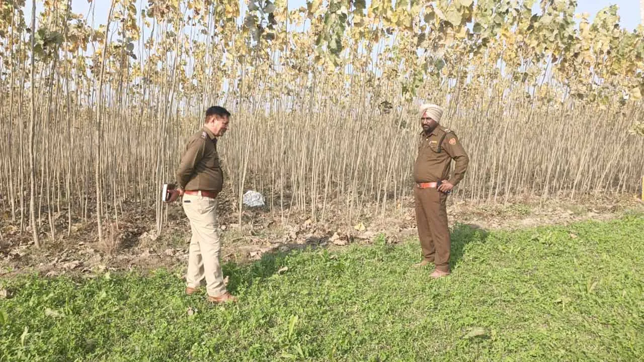 पोंटा साहिब रोड पर पॉपुलर की नर्सरी में एक लड़की का शव बरामद, पुलिस ने छानबीन शुरू की