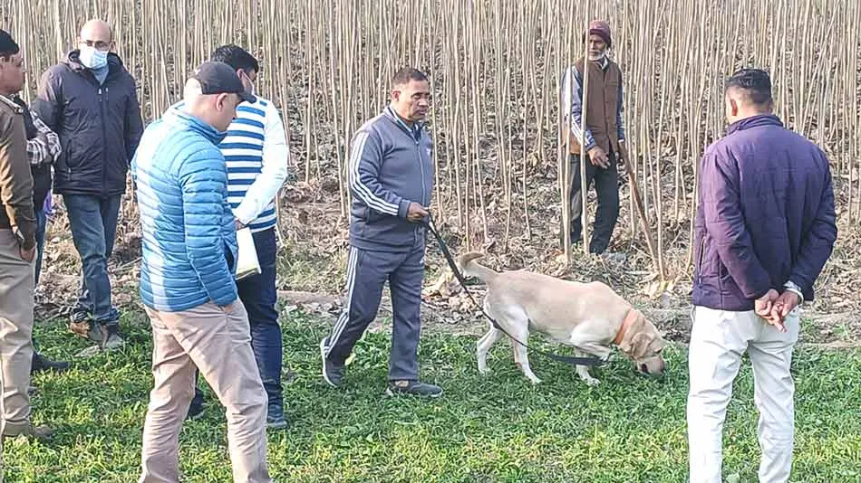 बहादुरपुर पोपलर की नर्सरी में मिली लड़की का शव के मामले में कोई शिनाख्त नहीं
