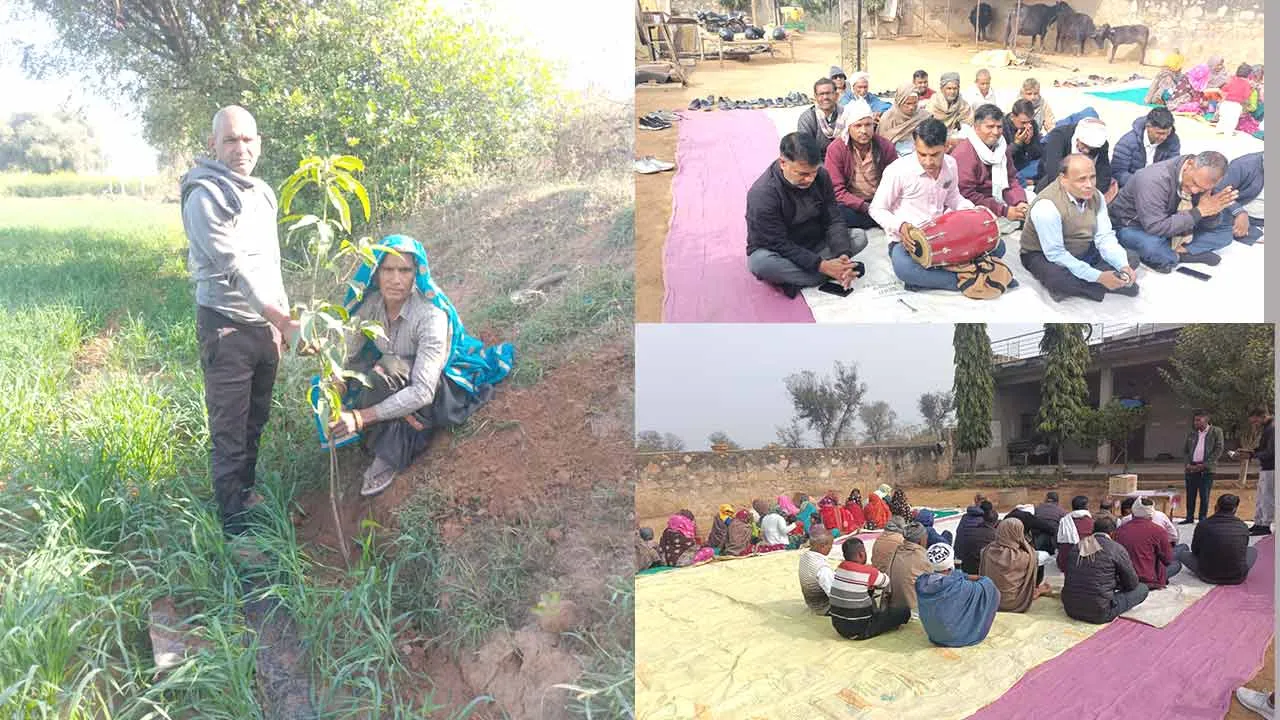 श्रद्धांजलि ऐसी, जो सबको छाया दे
