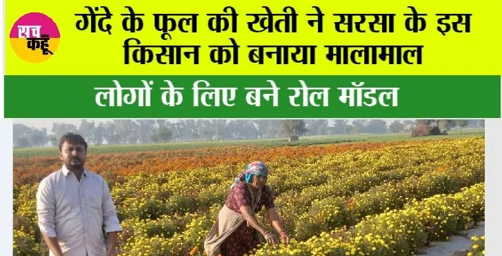 Sirsa: गेंदे के फूल की खेती ने सरसा के इस किसान को बनाया मालामाल, लोगों के लिए बने रोल मॉडल