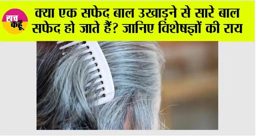White Hair: क्या एक सफेद बाल उखाड़ने से सारे बाल सफेद हो जाते हैं? जानिए विशेषज्ञों की राय