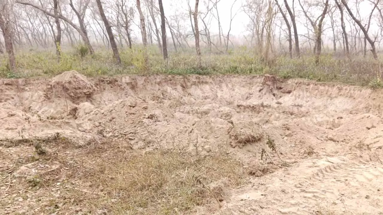 मानकपुर में पंचायती जंगल से शीशम के अवैध कटान के बाद अवैध खनन, एसडीएम ने सूचना के बाद दिए कार्रवाई के आदेश