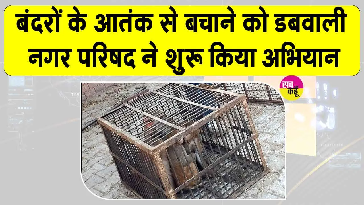 Monkey-catching campaign: डबवाली में बंदरों के बढ़ते आतंक को देखते हुए नगर परिषद ने शुरू किया ये अभियान