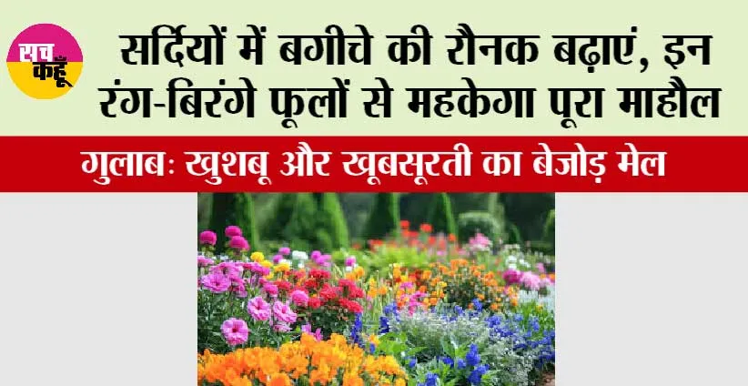 Gardening Tips: सर्दियों में बगीचे की रौनक बढ़ाएं, इन रंग-बिरंगे फूलों से महकेगा पूरा माहौल
