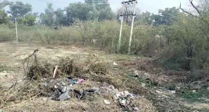 कलक्टरेट-एसपी कार्यालय के पीछे जंगल में तब्दील सरकारी भूमि