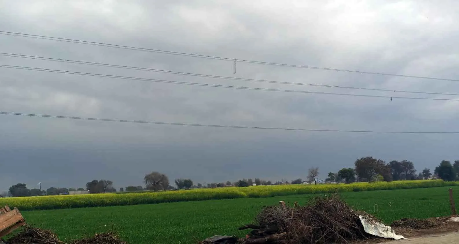 Hanumangarh: रातभर बारिश, तेज हवाएं व बारिश का सिलसिला शुरू, रबी फसलों को मिलेगा मावठ का लाभ