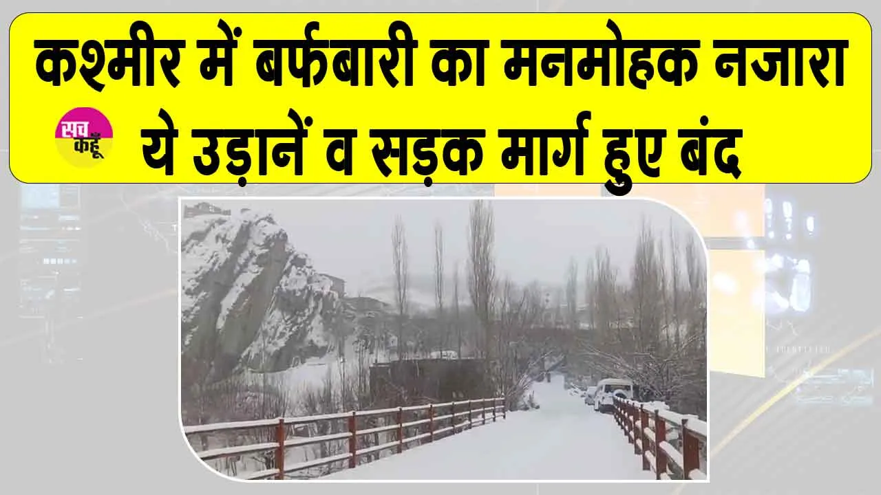 Kashmir Weather: सफेद चादर में लिपटा श्रीनगर! देखें मनमोहक नजारा, भारी बर्फबारी से थमा कश्मीर