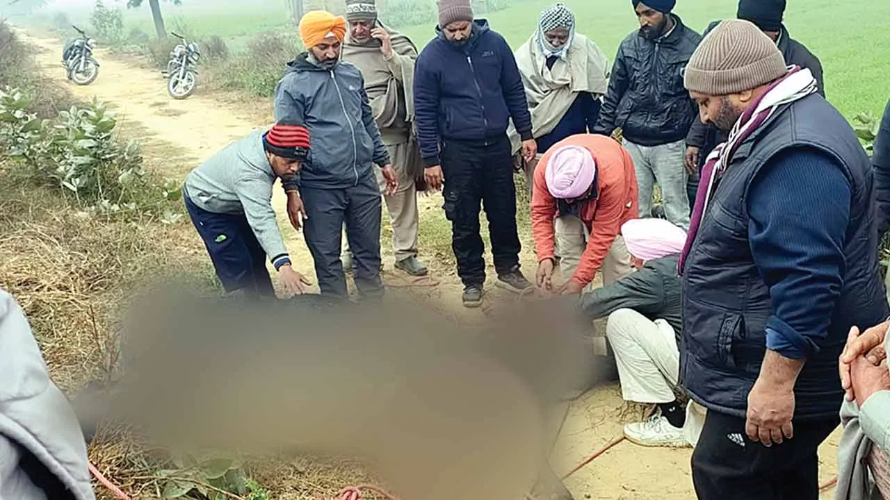 Welfare Work: डेरा श्रद्धालुओं ने नाले में गिरी गाय को सुरक्षित बाहर निकाला