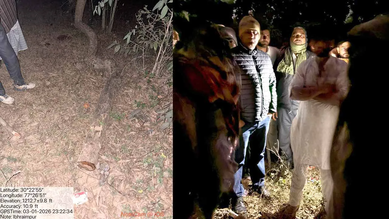 खैर की लकड़ी चोरी रोकने पहुंचे रखवाले पर जानलेवा हमला, कई धाराओं में मुकदमा दर्ज