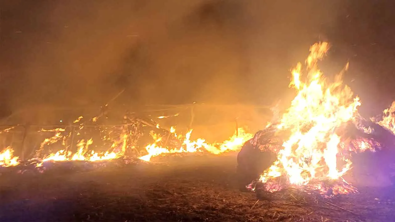 Fire: बनियावाला में अज्ञात कारणों से लगी भूसे की छान में आग 6 छान आई चपेट में आग लगाने वाले संदिग्ध की पुलिस को दी शिकायत