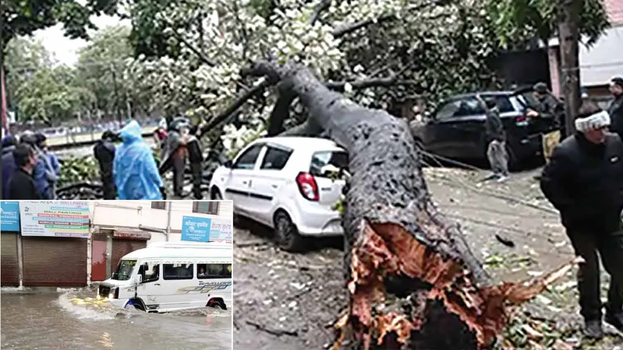 पंजाब में भारी बारिश व तेज हवाओं से जनजीवन प्रभावित, कई स्थानों पर गिरे पेड़ व बिजली के खंभे हुए क्षतिग्रस्त