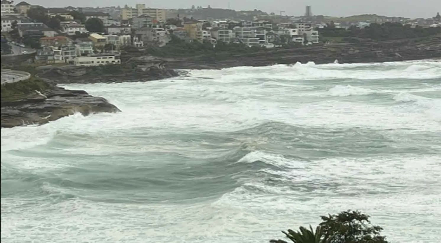 Sydney: सिडनी में बाढ़ और भूस्खलन से भारी तबाही, लोगों को घर खाली करके जाने के निर्देश