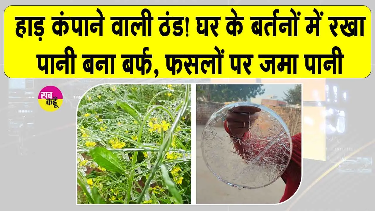 Weather Update: घने कोहरे व हाड़ जमाते पाले के बीच ठिठुरते हुए स्कूल पहुंचे बच्चे