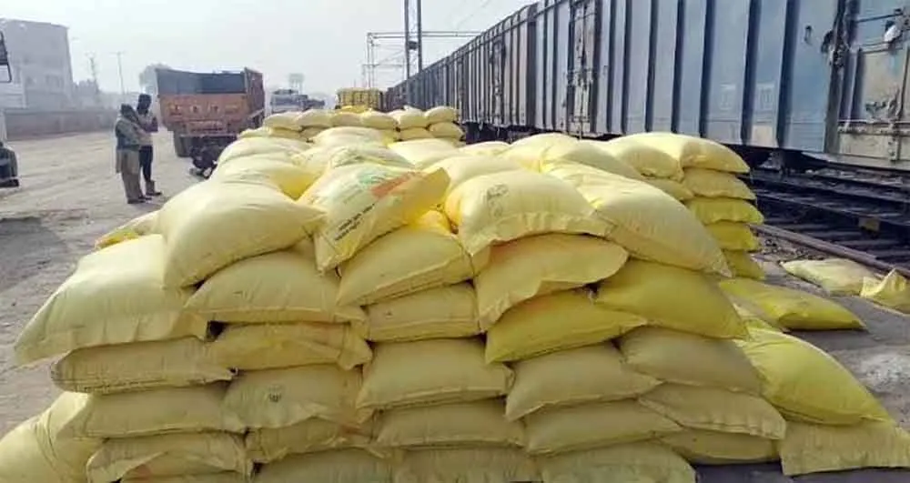 Fertilizer Shortage: यूरिया के लिए लग रही कतारें, विभाग का दावा-जिले में नहीं खाद की कमी