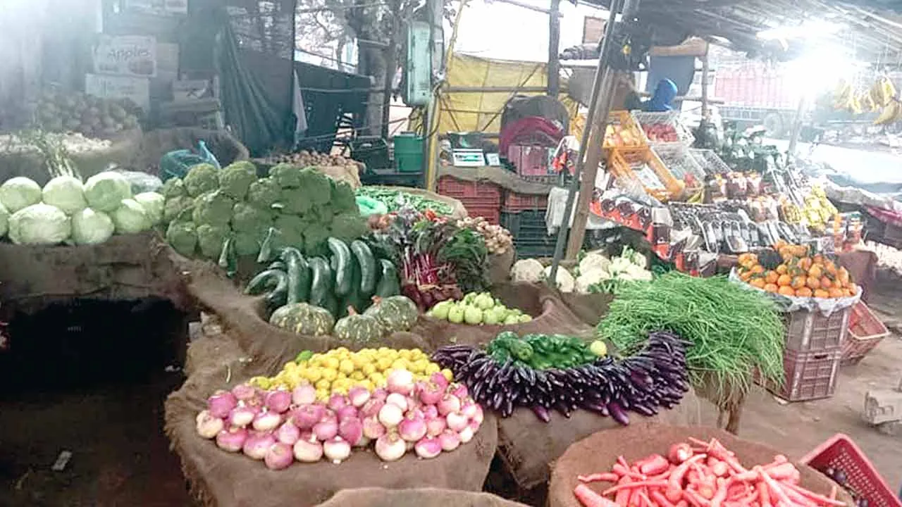 Vegetable News: कड़ाके की ठंड में बढ़ी पैदावार, मंडियों में सस्ती सब्जियाँ उपलब्ध